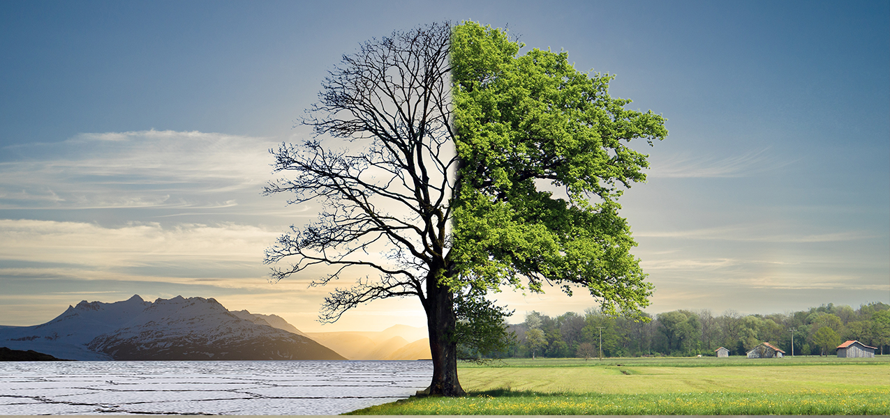 浙江南部干旱不退 易盾呼吁您节药用水！